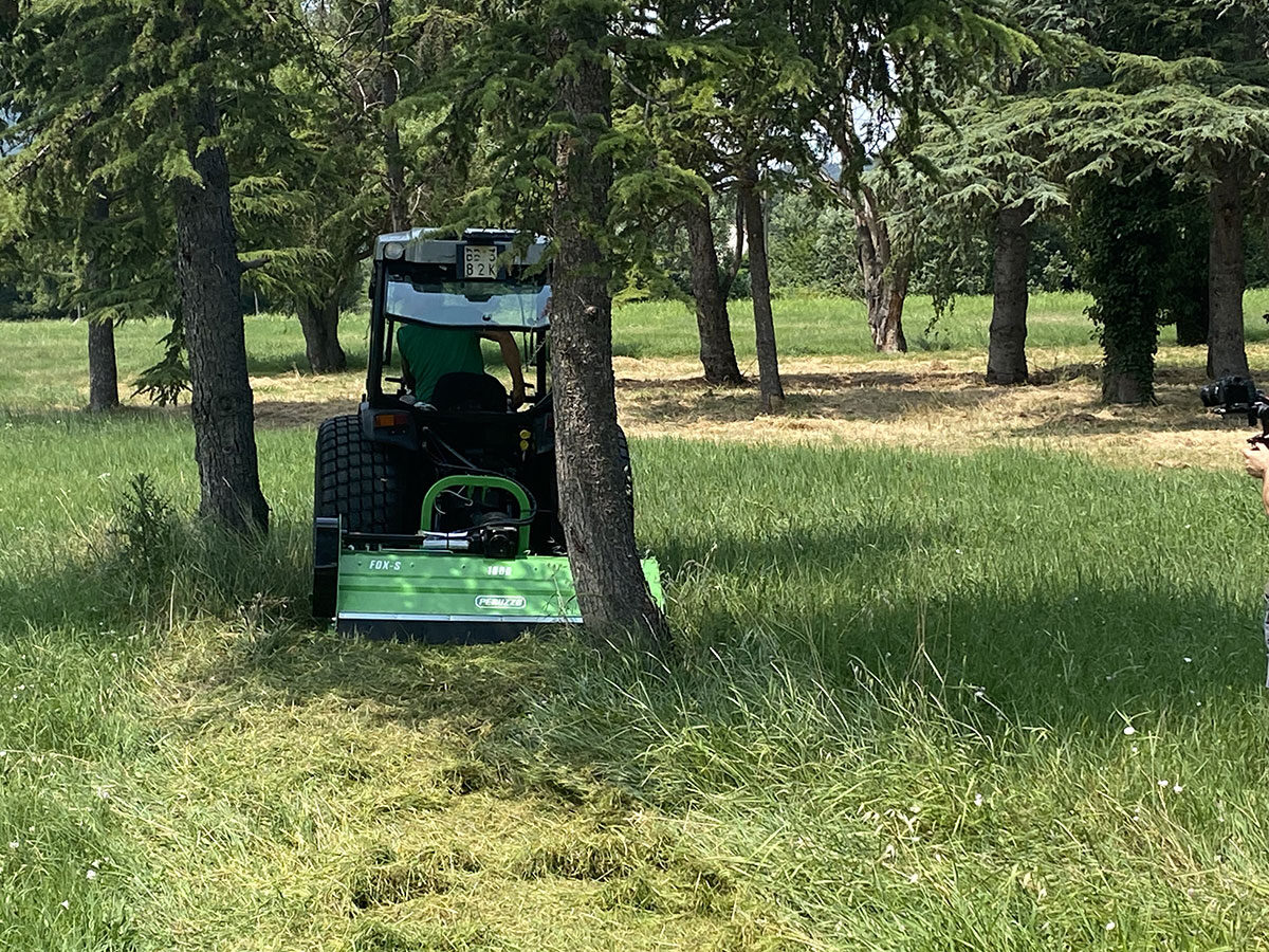 FoxS-mulcher