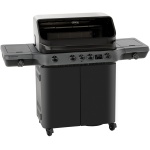 Rösle gasgrill - BLAZEFLAME Master 4